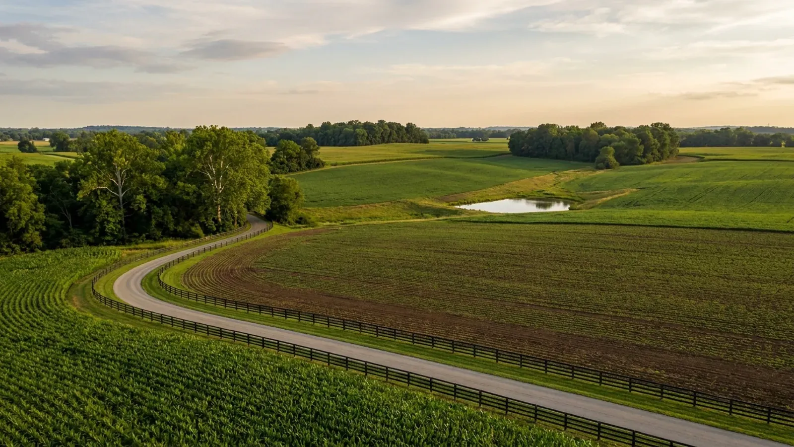 Gently rolling Miami Valley farmland with hay and crop fields, hardwood woodlots and a sycamore-lined creek bottom.